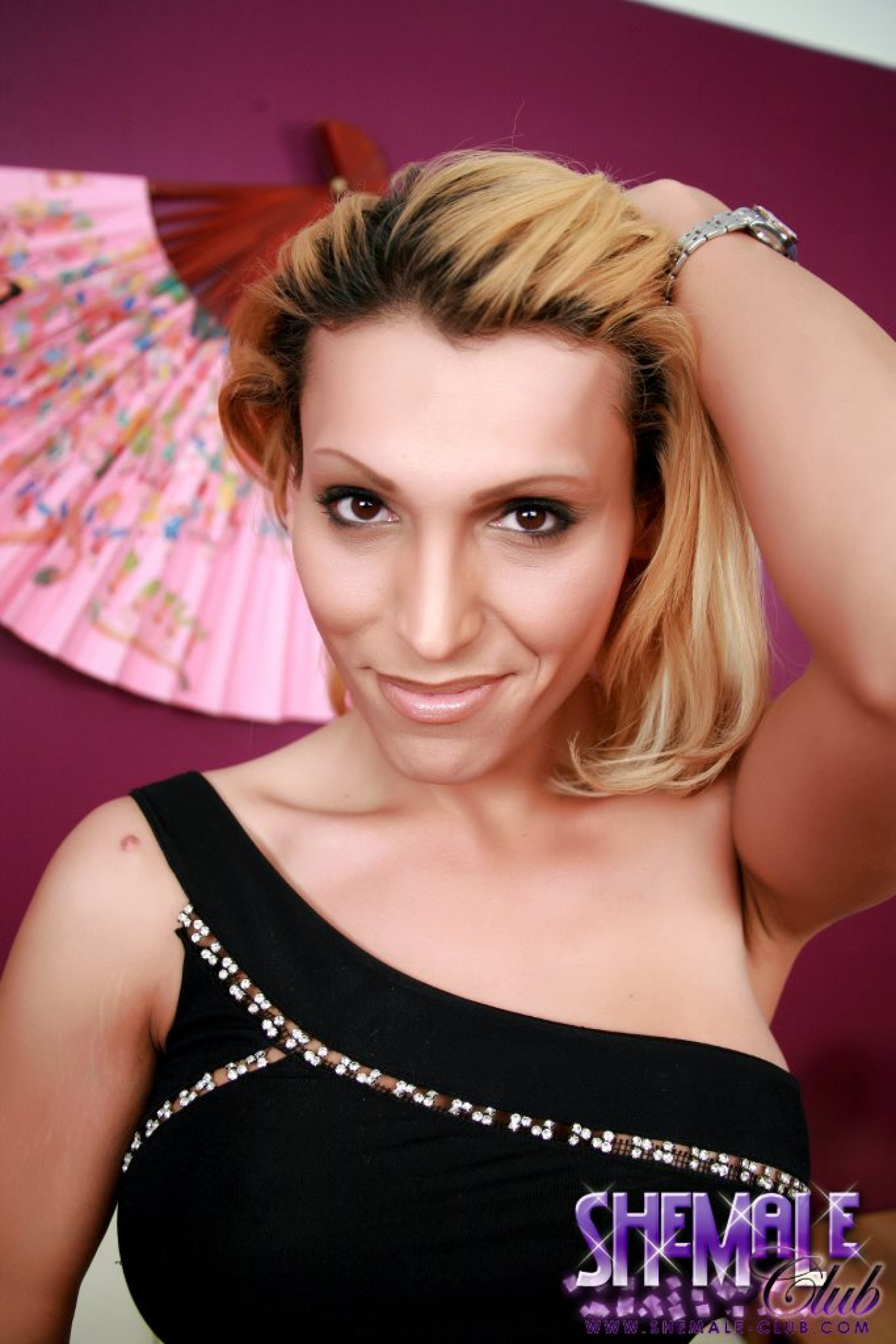 Shemale Club Shawna Vegas gets nakes and hard - Pichunter